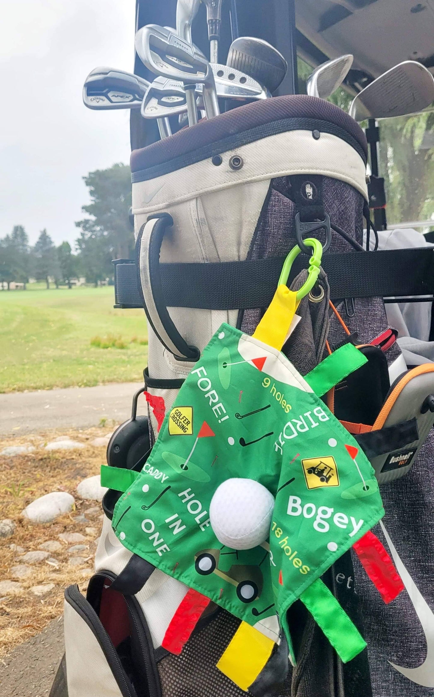 Golf Stroller Tag