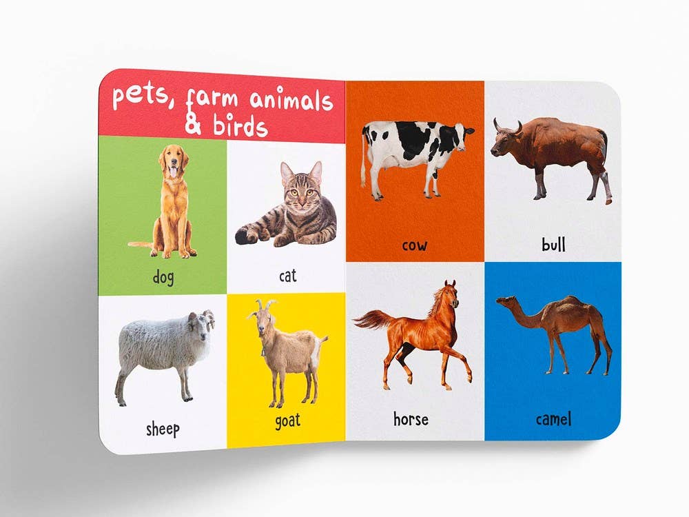 My First 100 Animals Book