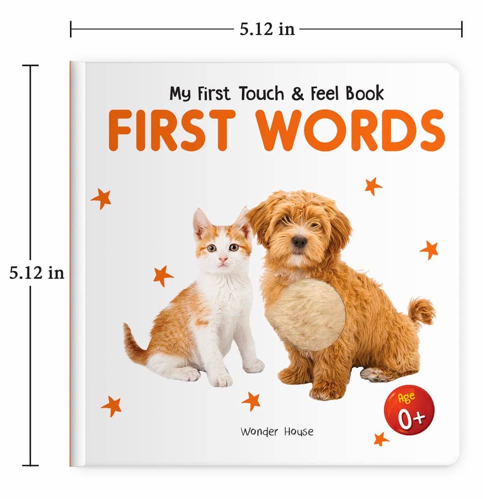Touch And Feel First Words Book