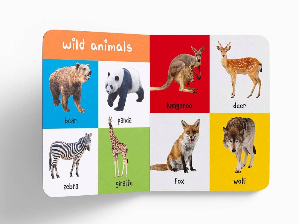 My First 100 Animals Book