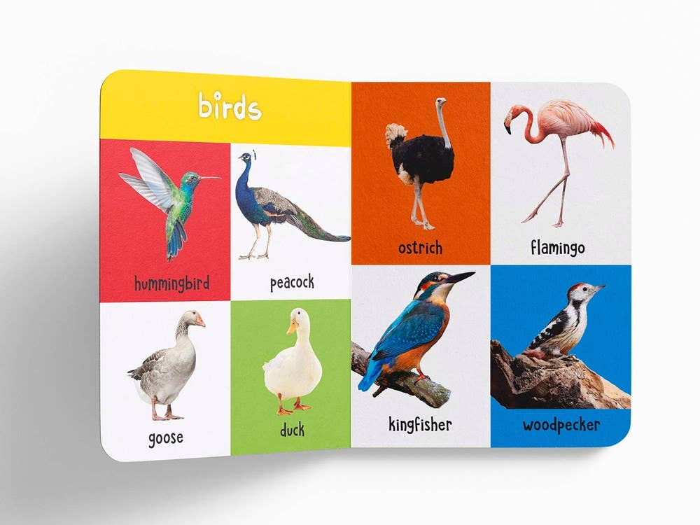 My First 100 Animals Book