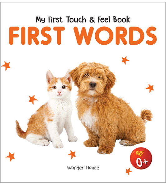 Touch And Feel First Words Book