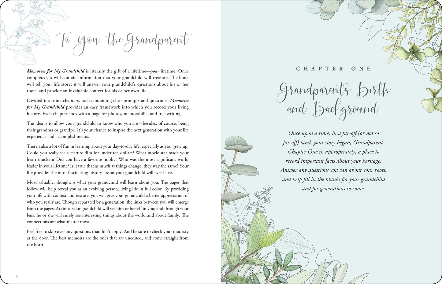 Memories for My Grandchild Book