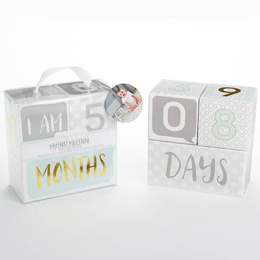 Baby Milestone Blocks