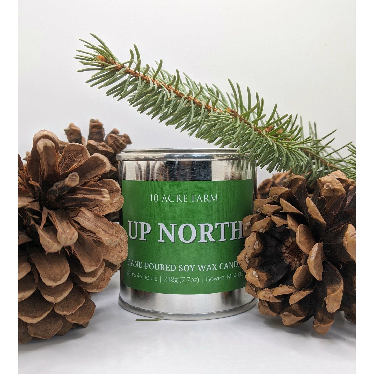 Up North Paint Can Candle