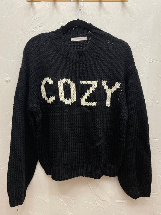 “Cozy” Knit Sweater