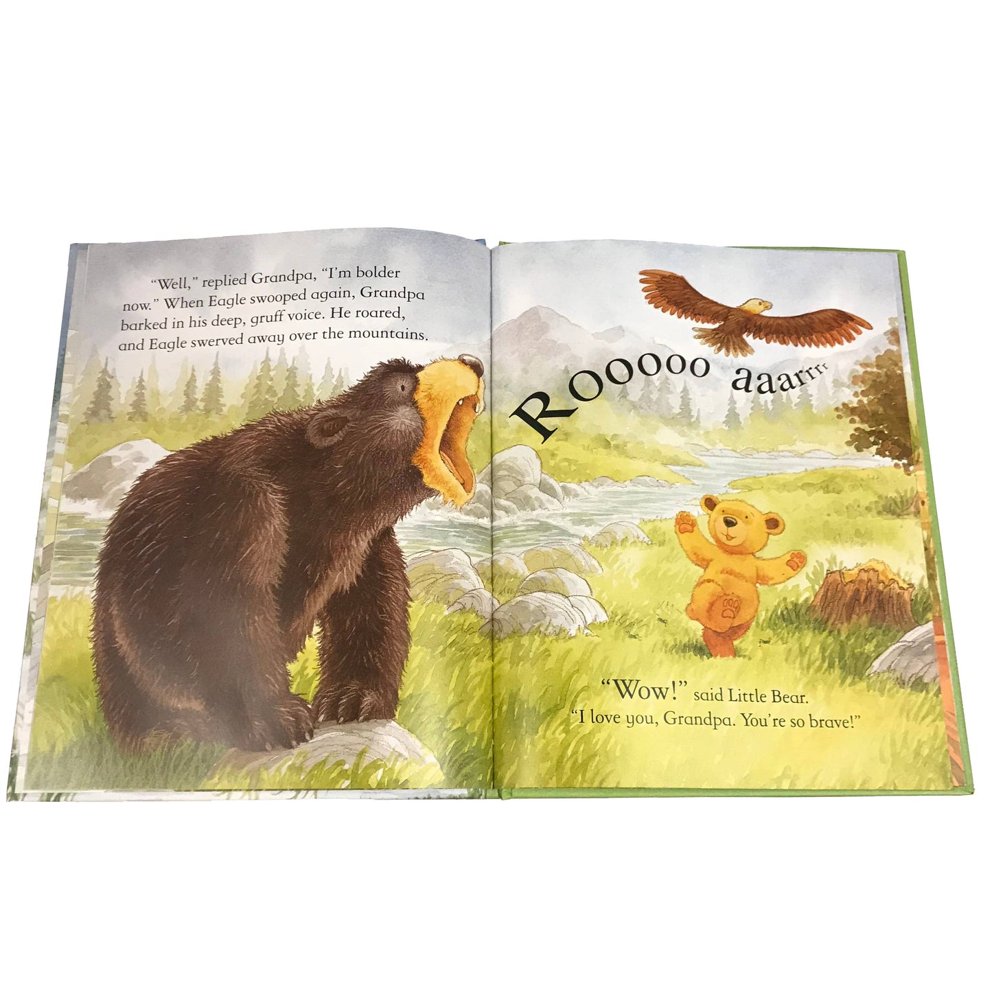 I Love You, Grandpa Book